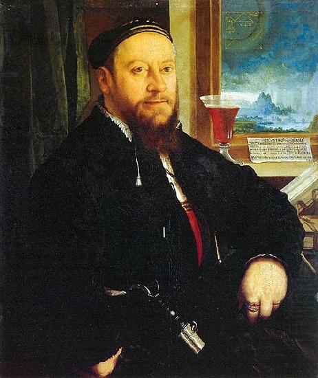 Christoph Amberger Portrait of Matthaus Schwarz china oil painting image
